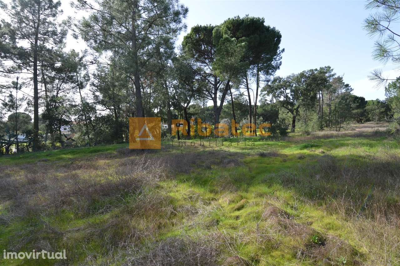 Terreno para construção no Valverde - Grande imagem: 4/13