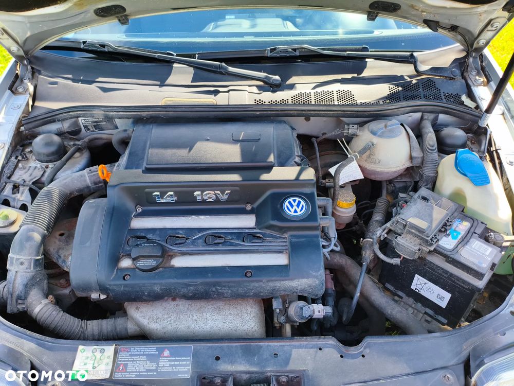 Volkswagen Polo - 15