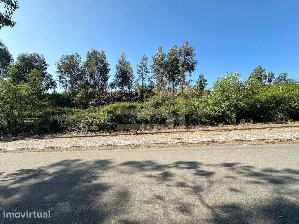 Vende-se terreno industrial em Vilarinho das Cambas, com 9500 m2. - Grande imagem: 3/8