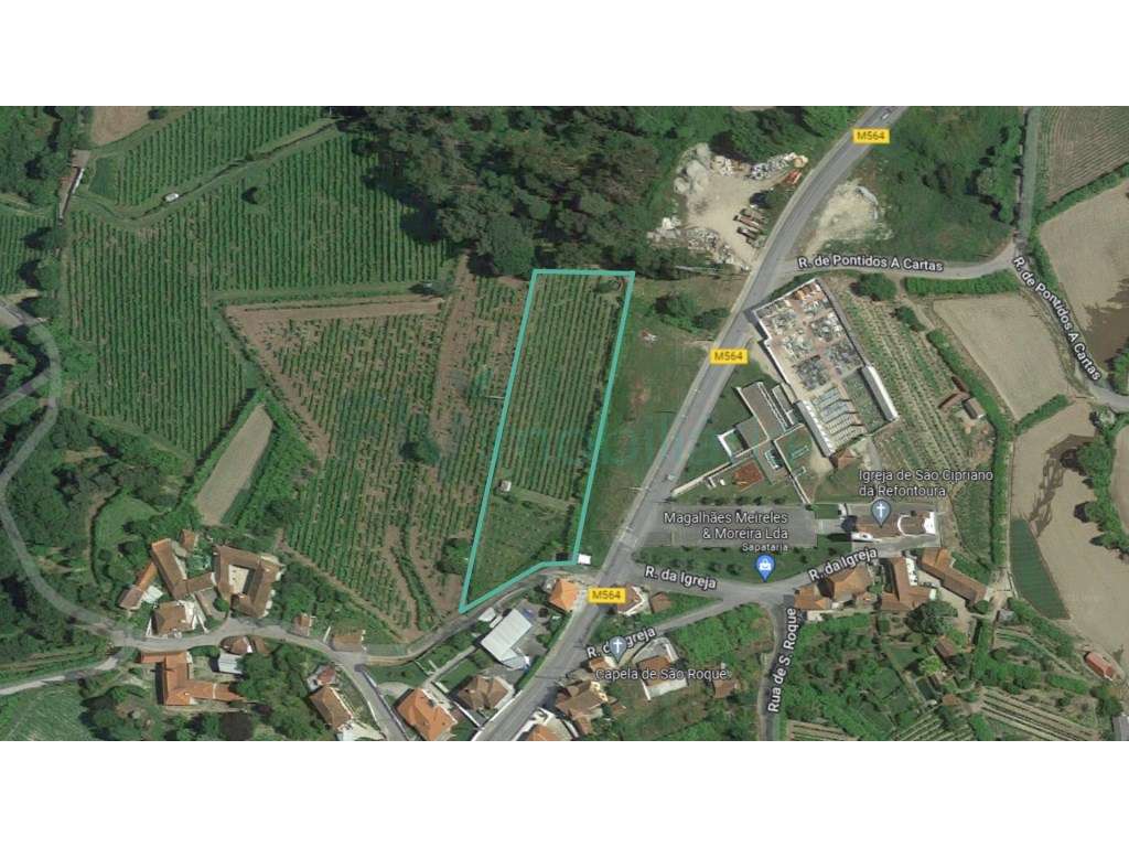 Terreno com Vinhas e viabilidade de construção - Grande imagem: 2/22