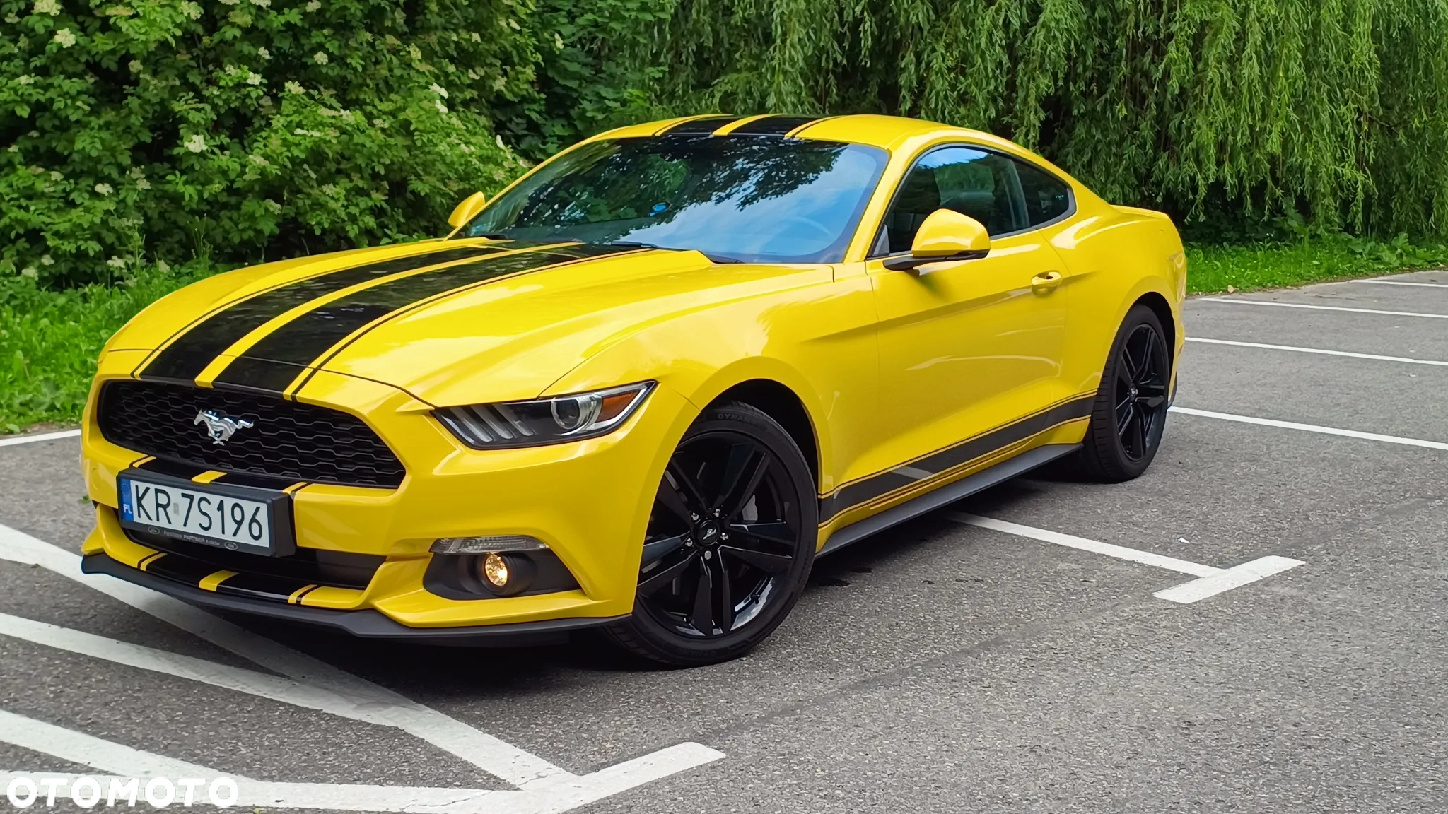 Ford Mustang 2.3 EcoBoost - 4