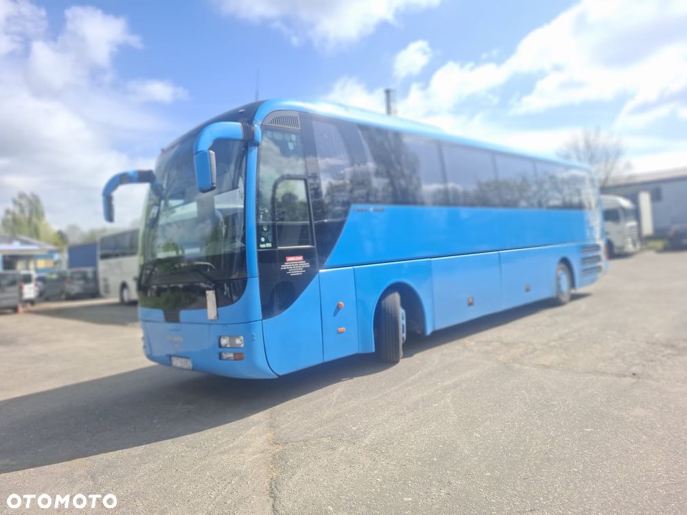 MAN LION'S COACH - 2