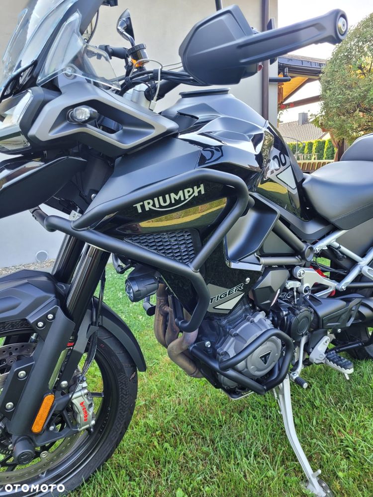 Triumph Tiger - 3