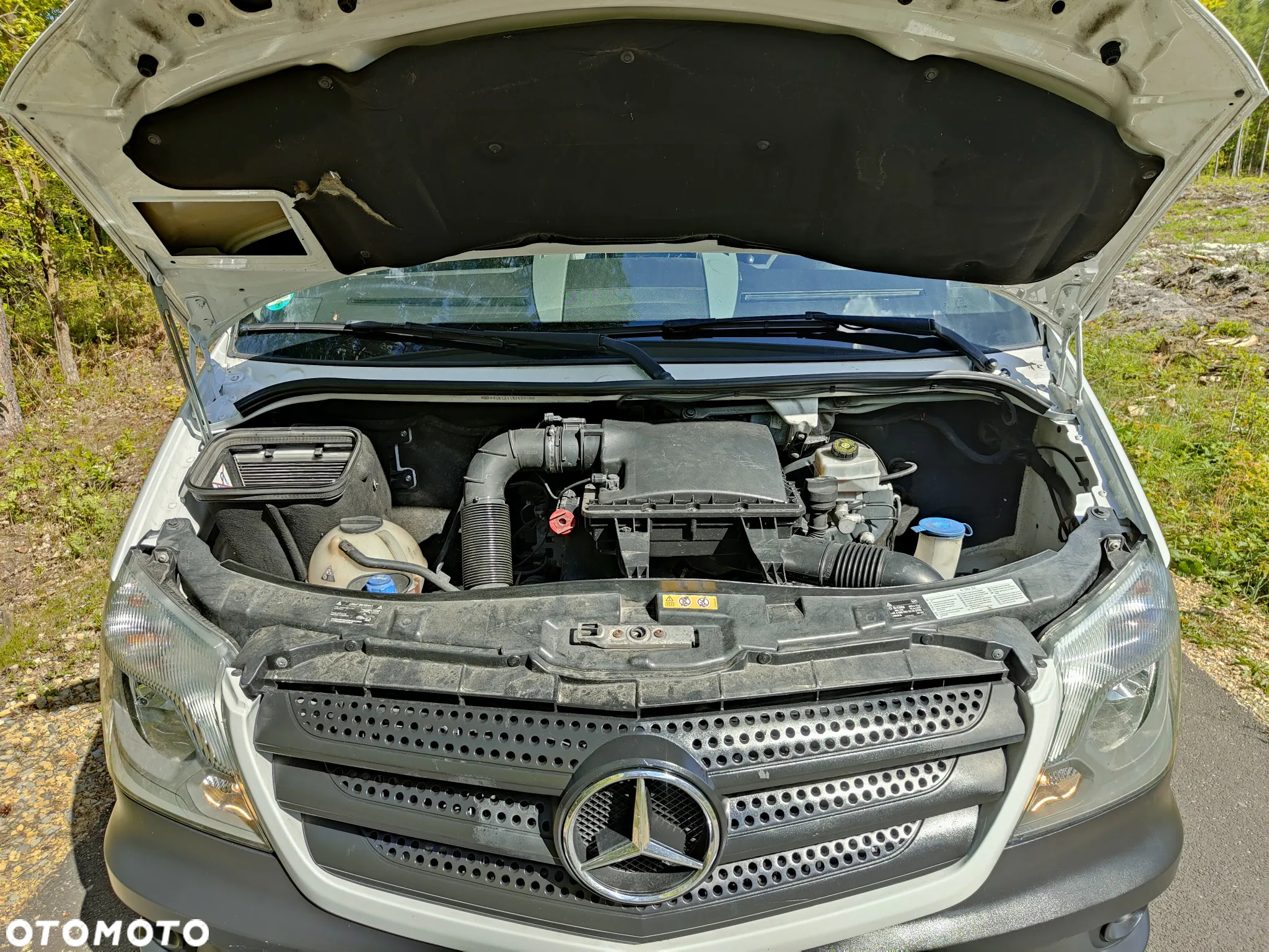 Mercedes-Benz Sprinter 316 2018r Chłodnia Mroźnia -20*C CARRIER XARIOS 350 KONTENER - 30