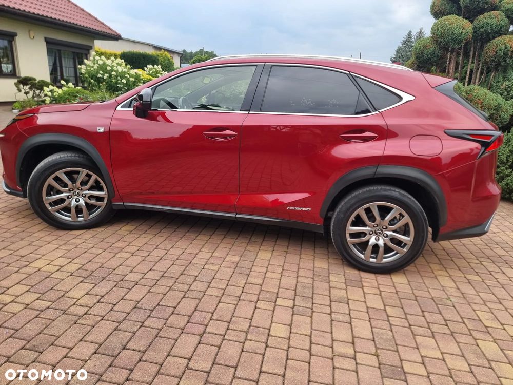Lexus NX 300h F Sport Edition AWD - 25
