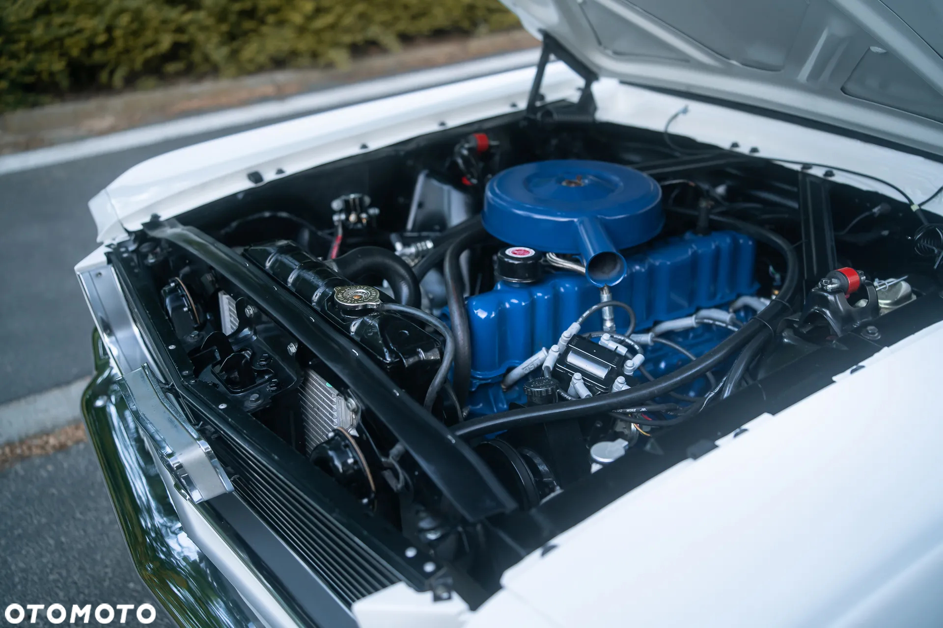Ford Mustang - 19