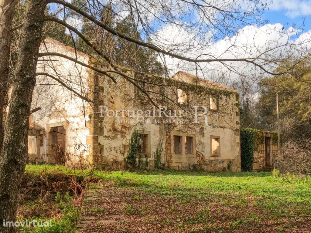 Quinta com 6ha e várias ruínas confinante com a ribeira - Grande imagem: 4/26