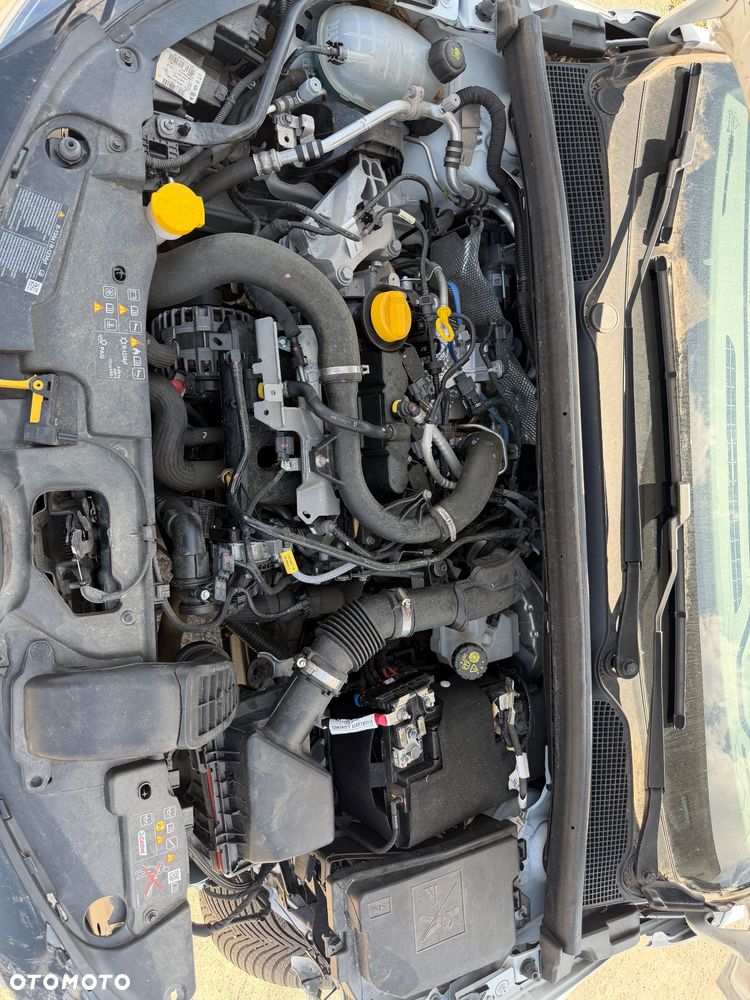 Renault Clio - 17
