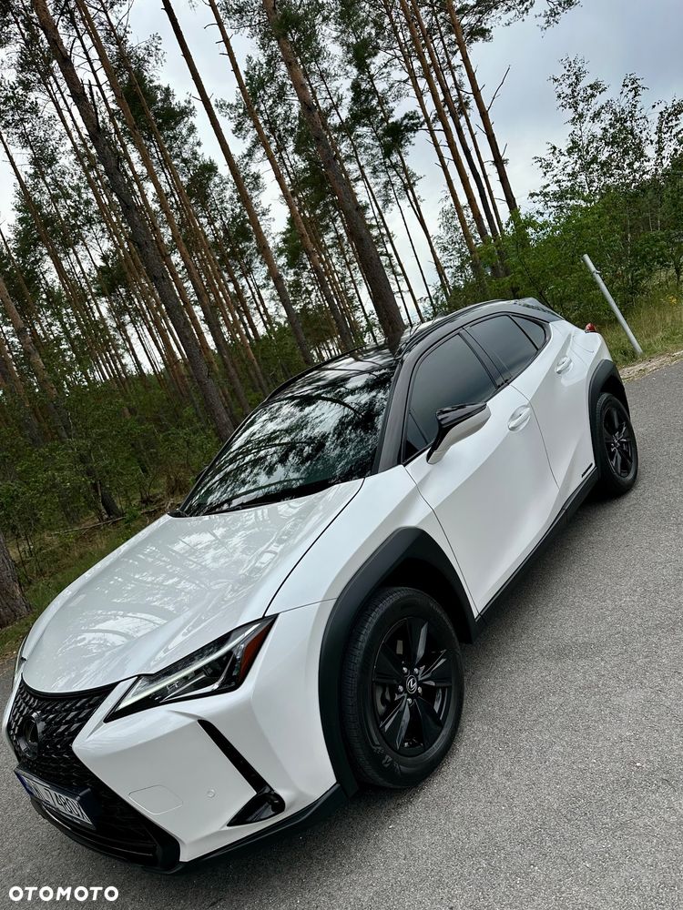 Lexus UX 250h Prestige 2WD - 11