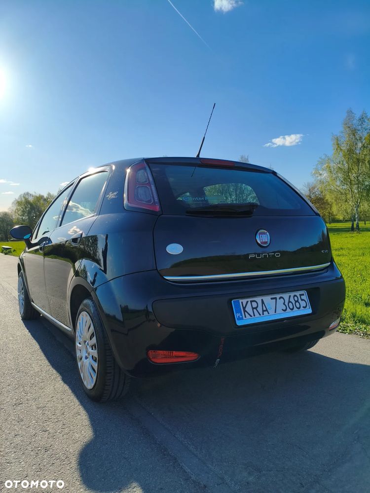 Fiat Punto - 11