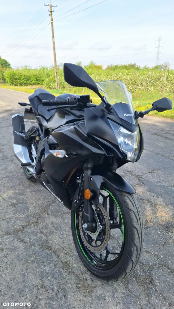 Kawasaki Ninja - 18