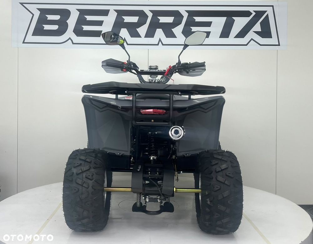 Berreta Inny - 19