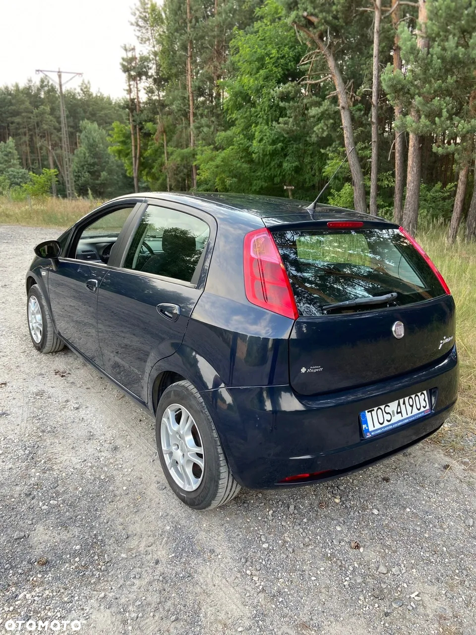Fiat Grande Punto Actual 1.4 8V Actual Dualogic Euro5 - 3