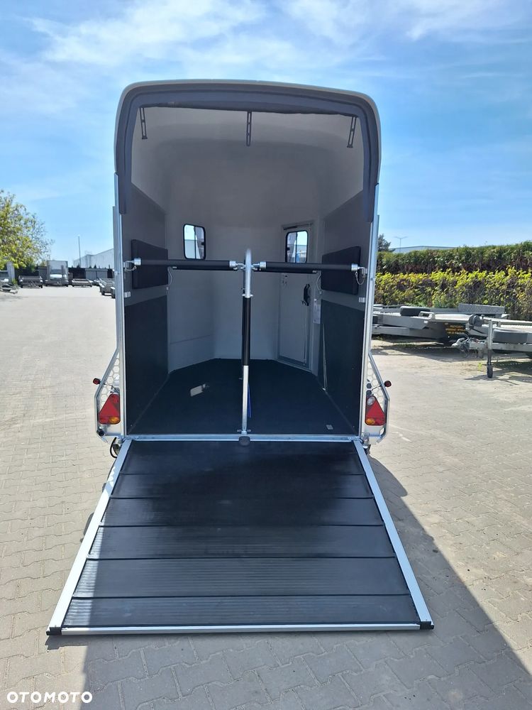 Cheval Liberte Gold Origin Debon - 9