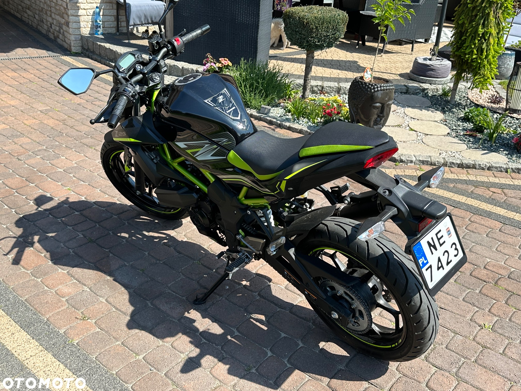 Kawasaki Z - 8