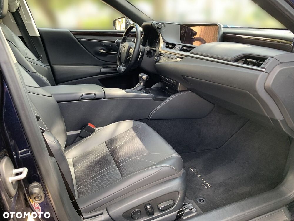 Lexus ES 300h Omotenashi - 13