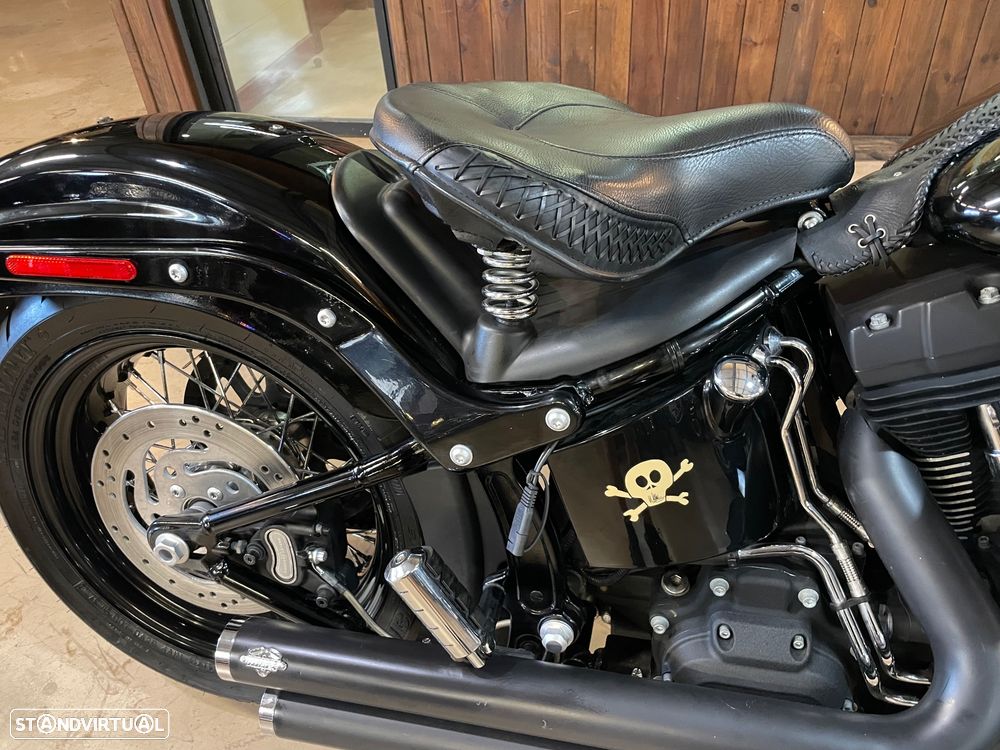 Harley-Davidson FLSTS - 2