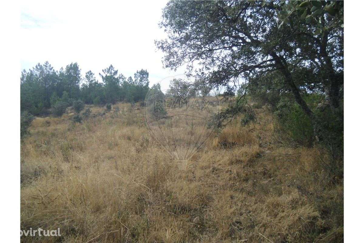 Quinta T0 para venda - Grande imagem: 4/9