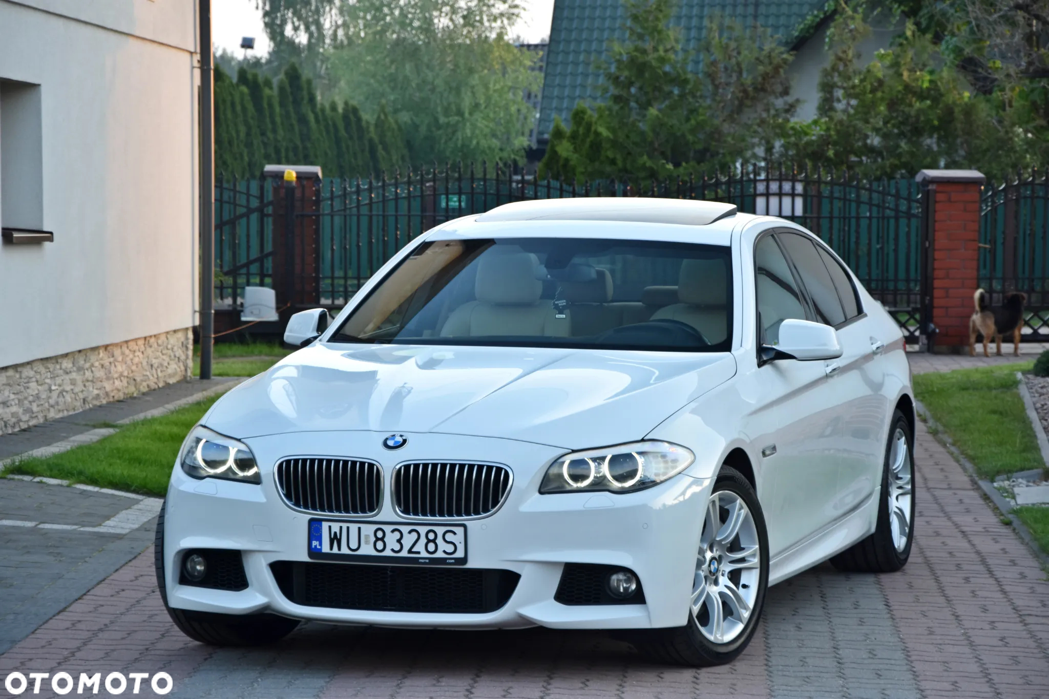 BMW Seria 5 - 5