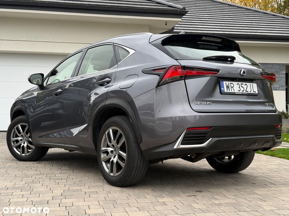 Lexus NX - 18