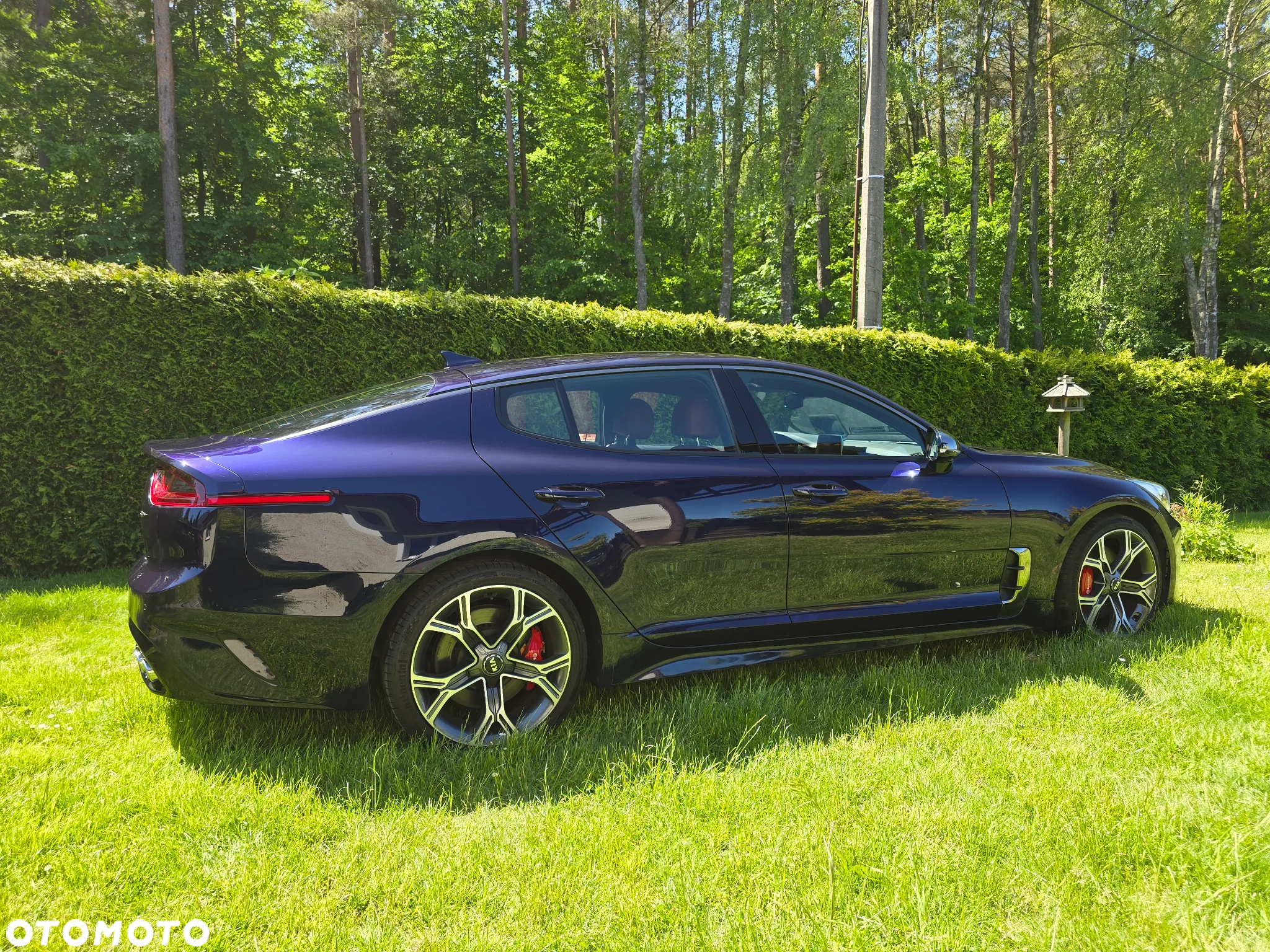 Kia Stinger 3.3 T-GDI V6 GT AWD - 3