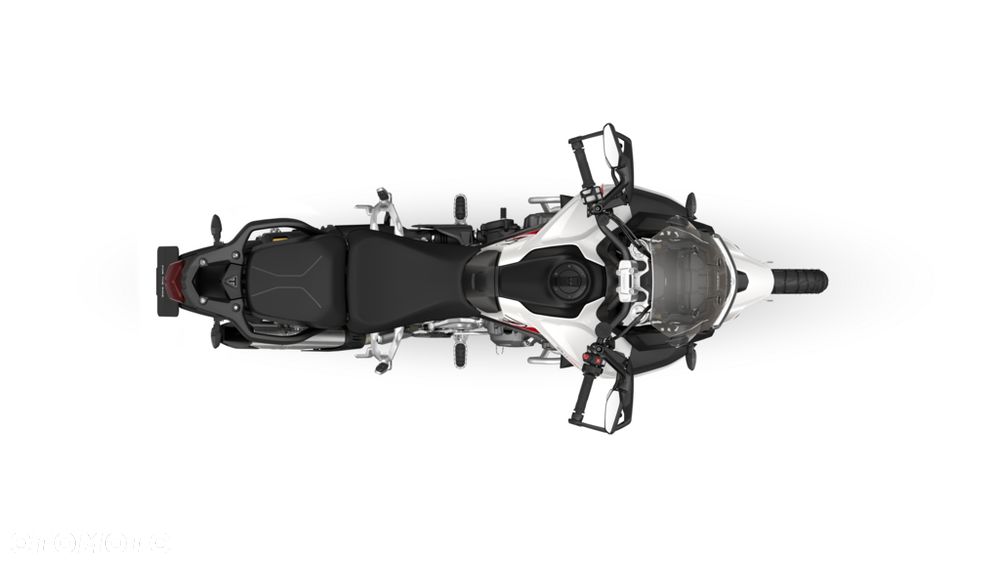 Triumph Tiger - 14