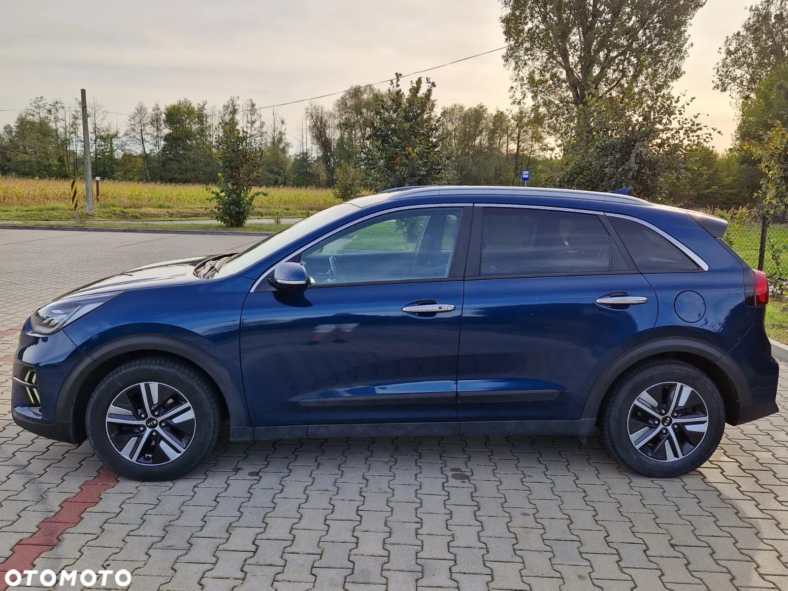 Kia Niro 1.6 GDI Hybrid L Business Line - 2