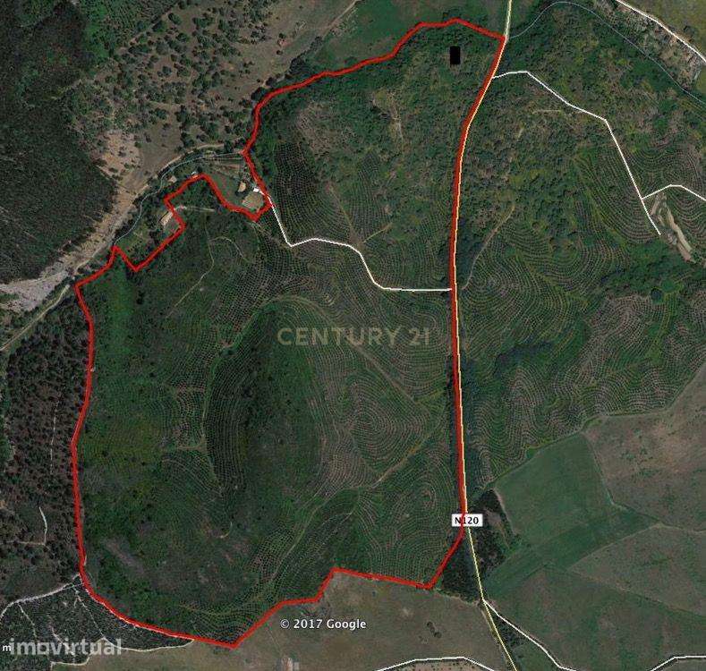 Herdade Raco de Baixo - S. Luís Poente - Grande imagem: 4/6
