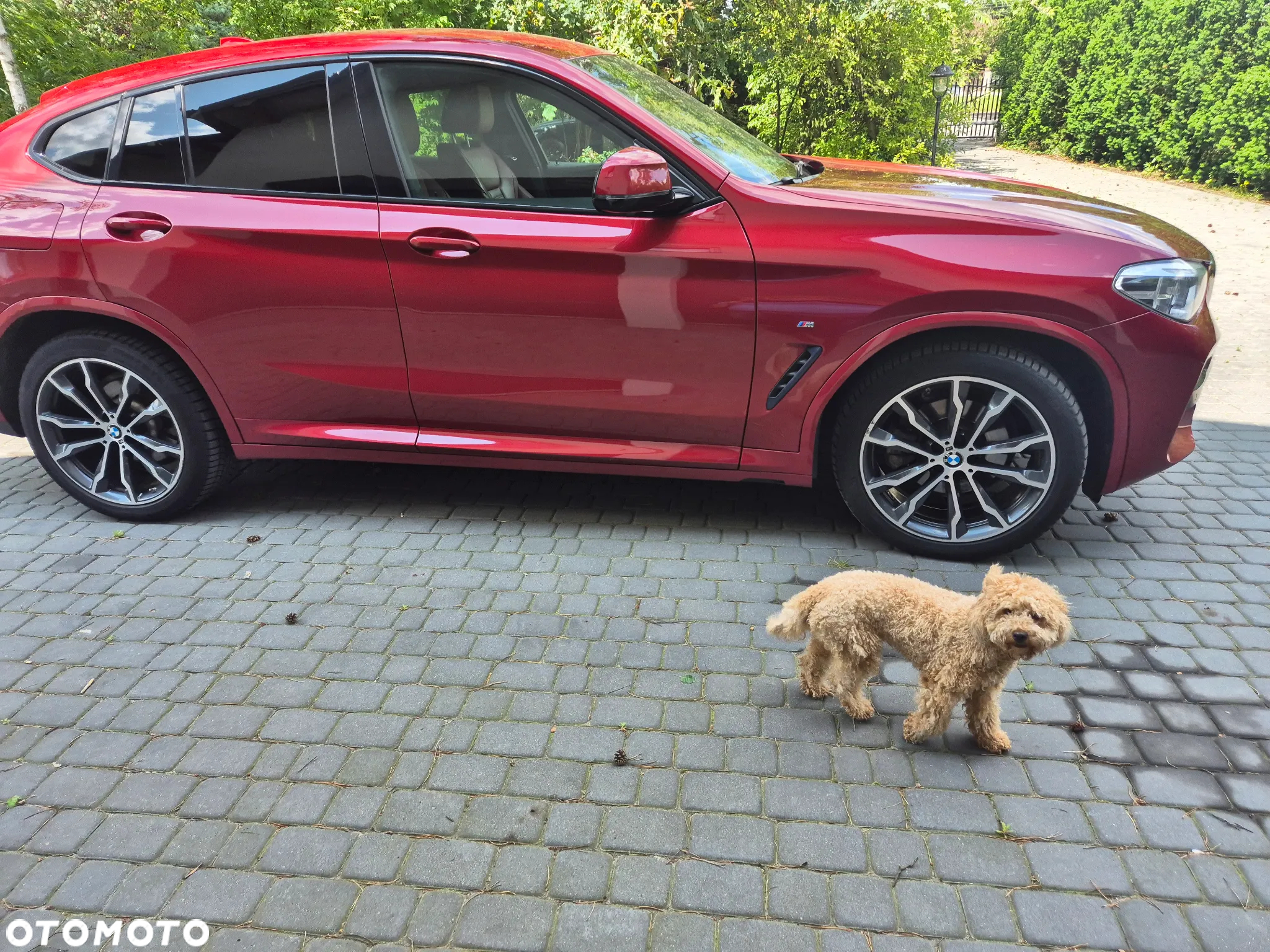 BMW X4 xDrive20d M Sport sport - 6