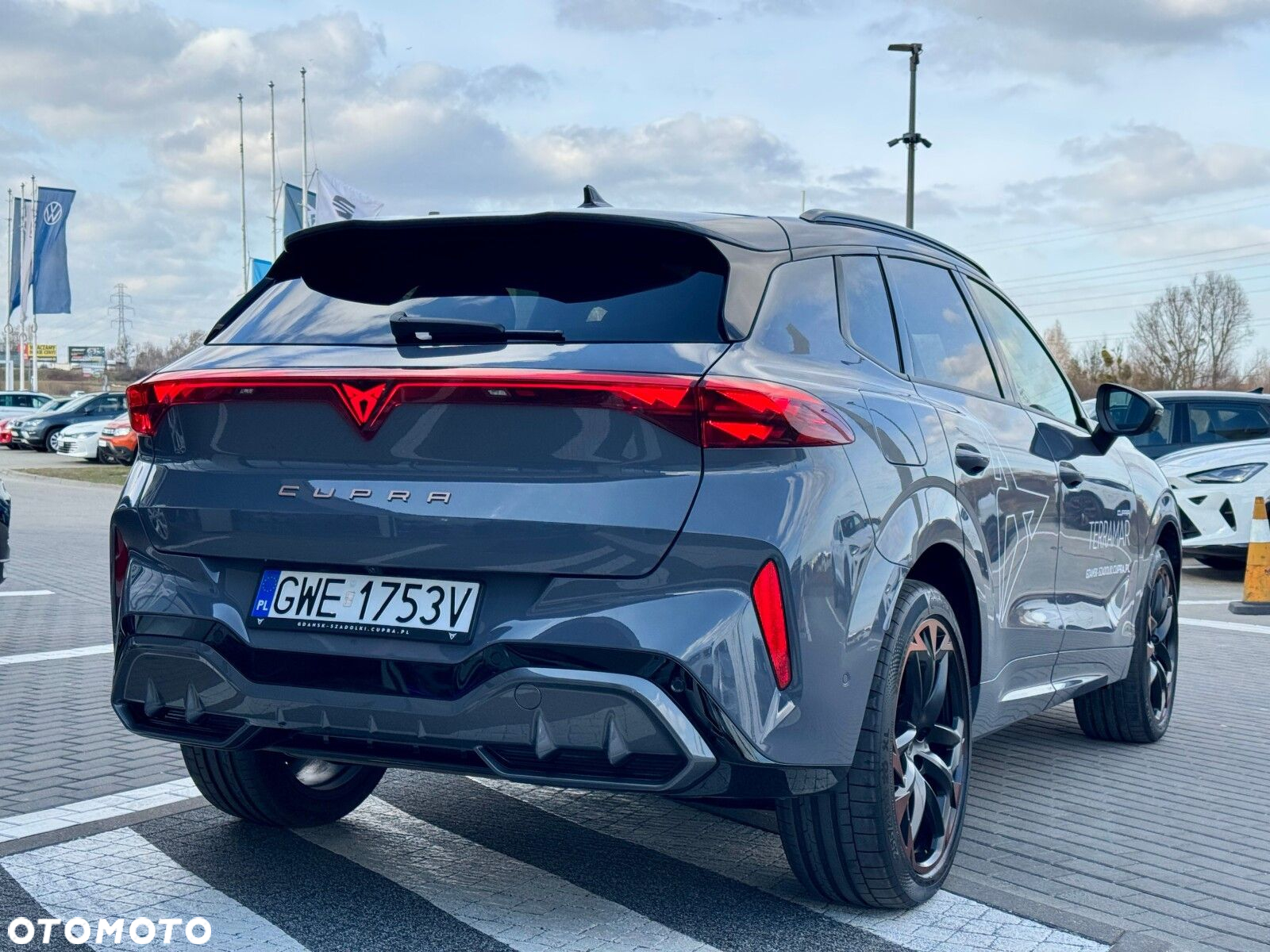 Cupra Terramar 2.0 TSI 4Drive VZ DSG - 5