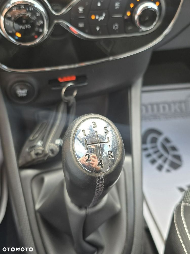 Renault Clio - 29