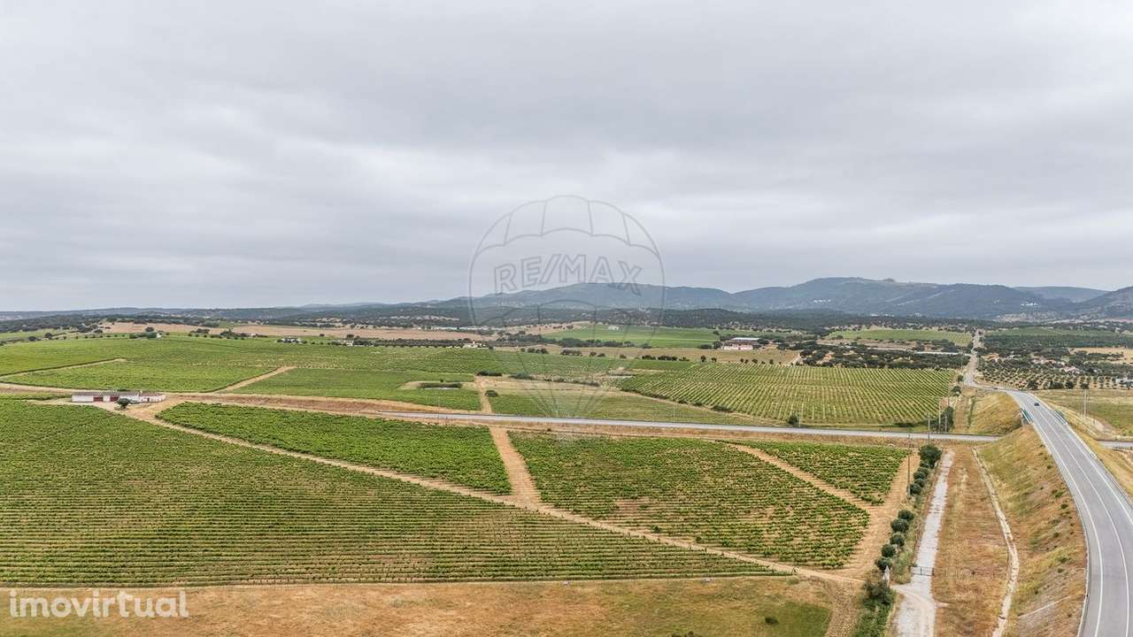 Quinta  para venda - Grande imagem: 2/12