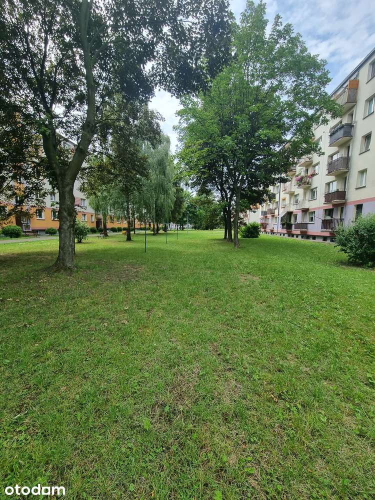 Mieszkanie 69m2 Końskie