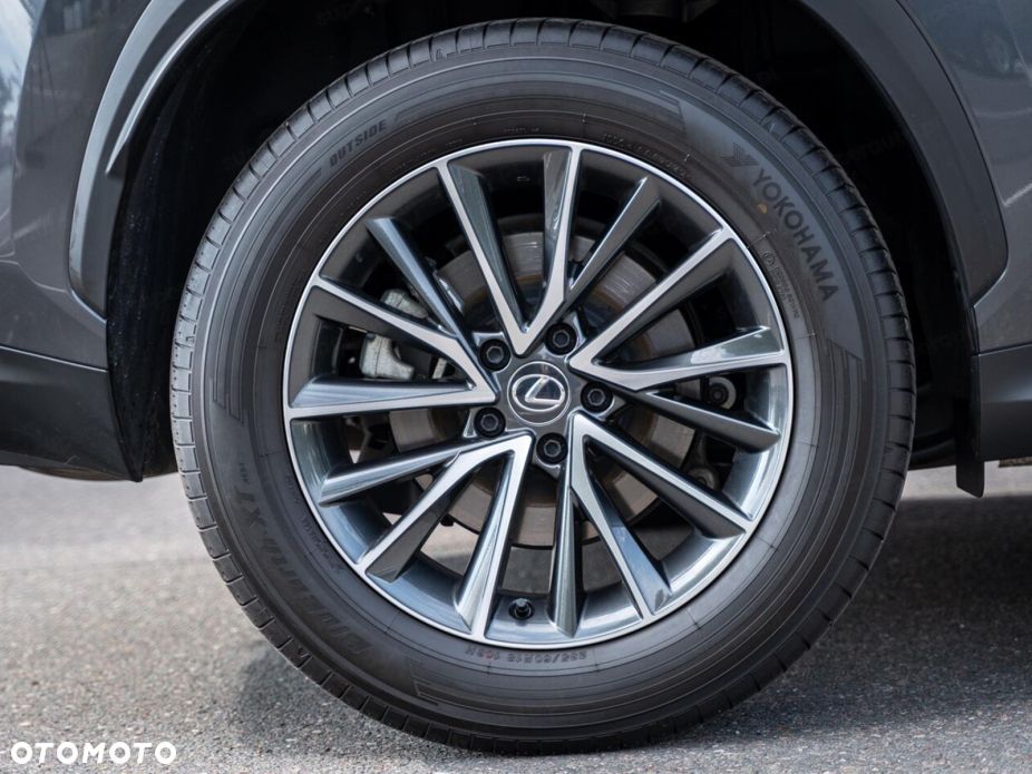 Lexus NX 350h Elegance 2WD - 15