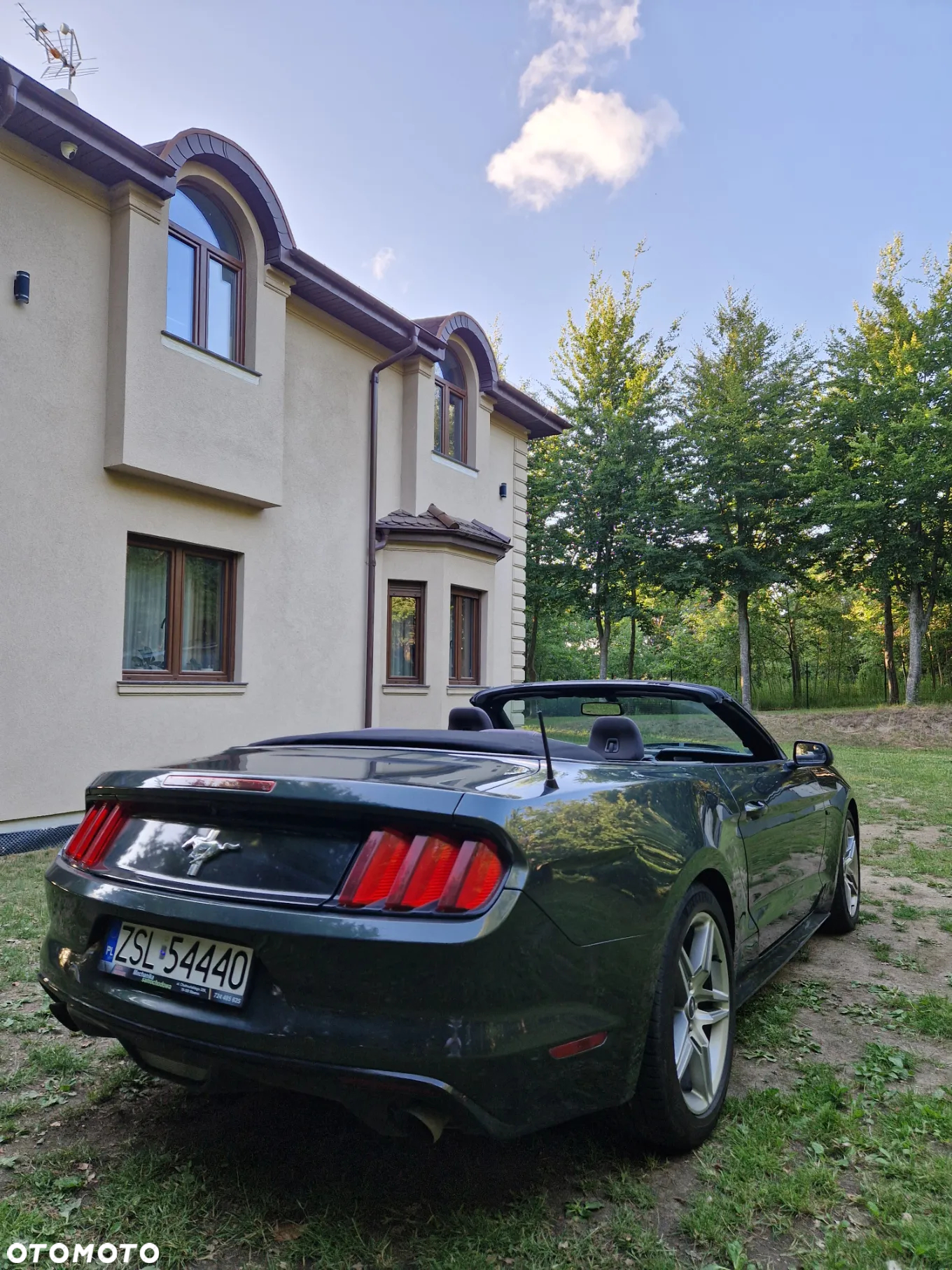 Ford Mustang 3.7 V6 - 6