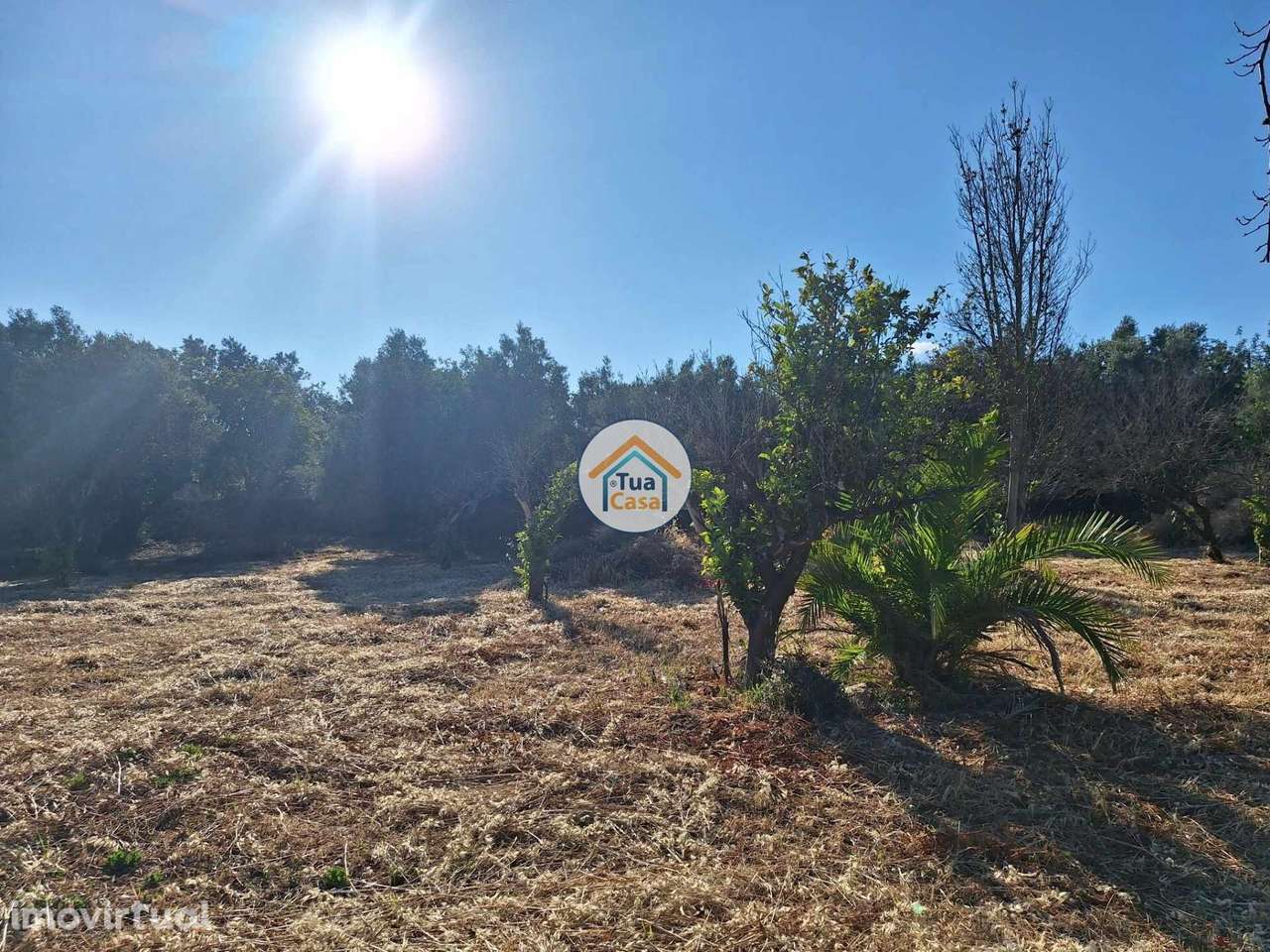 Terreno Rústico com Viabilidade de Construção de Duas Moradias na Gold - Grande imagem: 4/19