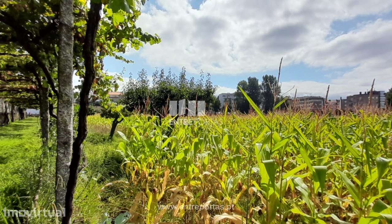 Venda de Terreno com 7140 m², Meadela, Viana do Castelo - Grande imagem: 3/30