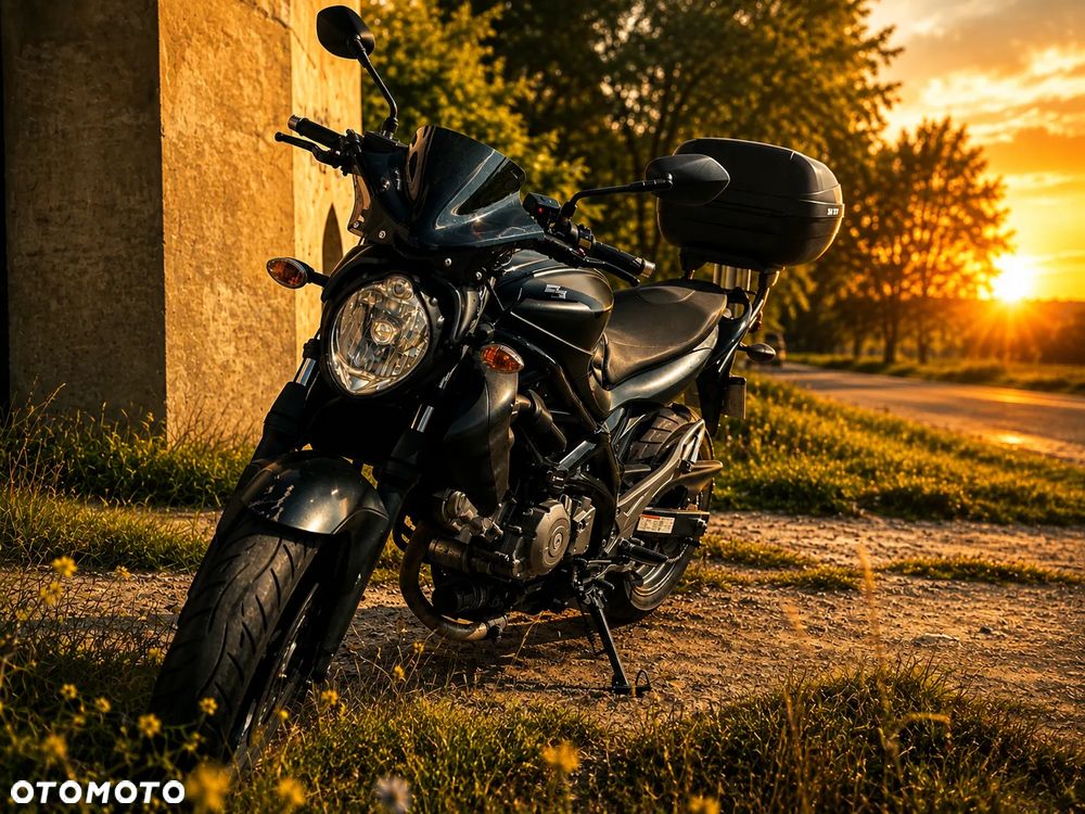 Suzuki Gladius - 2