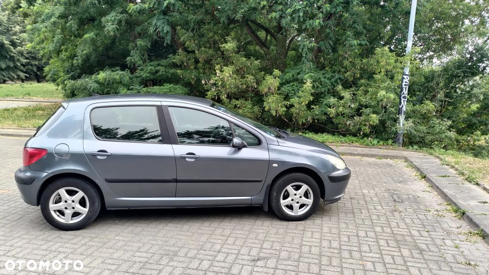 Peugeot 307 1.6 - 6
