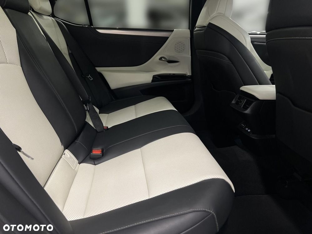 Lexus ES 300h F Sport Edition - 15