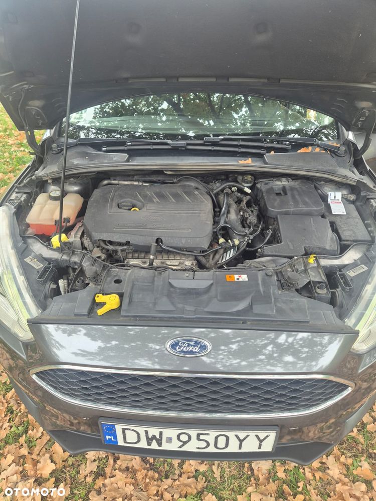 Ford Focus - 8