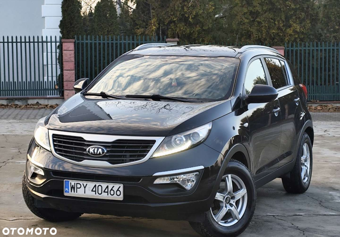 Kia Sportage - 3