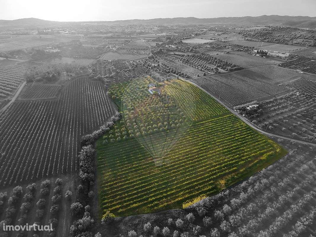 Quinta  para venda - Grande imagem: 3/50