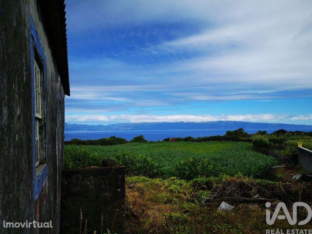 Casa tradicional T2 em Piedade de 136,00 m2 - Grande imagem: 3/23
