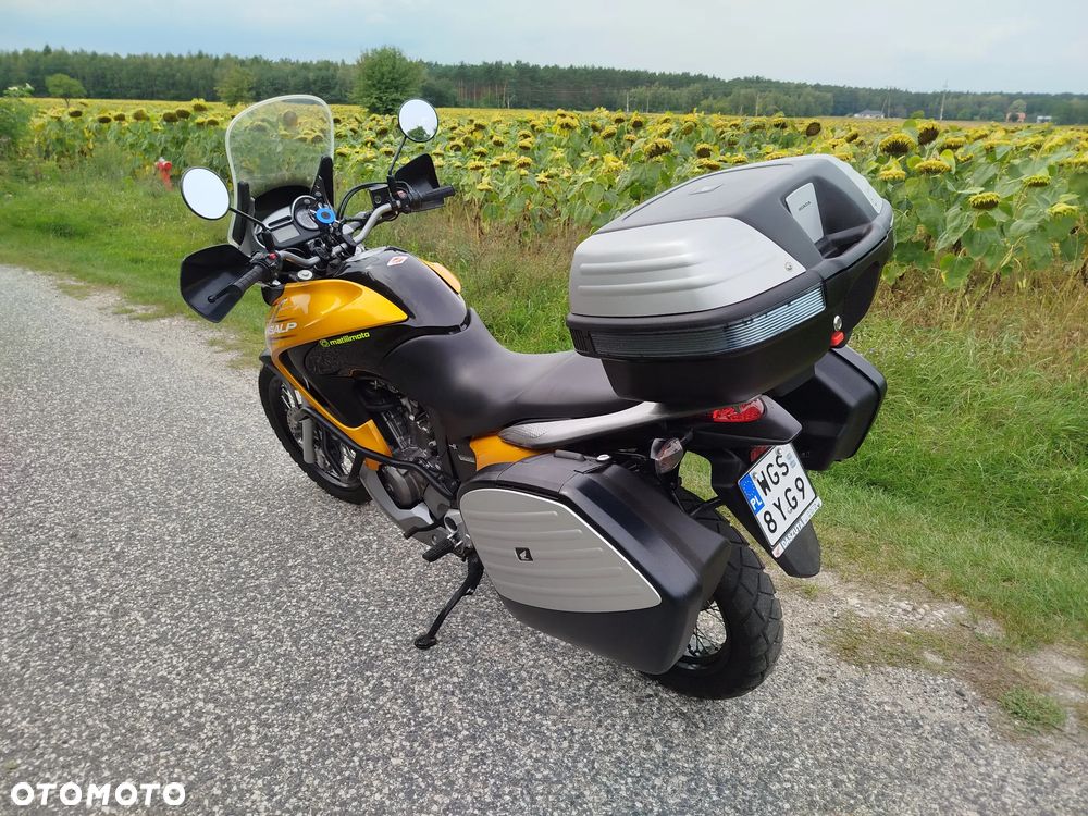 Honda Transalp - 8