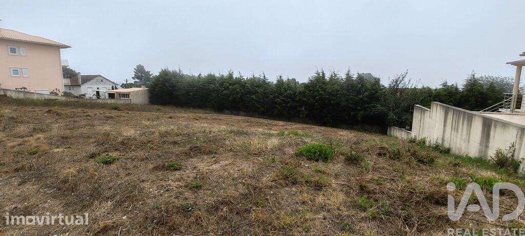 Terreno para construção em Figueiró dos Vinhos e Bairradas - Grande imagem: 5/12