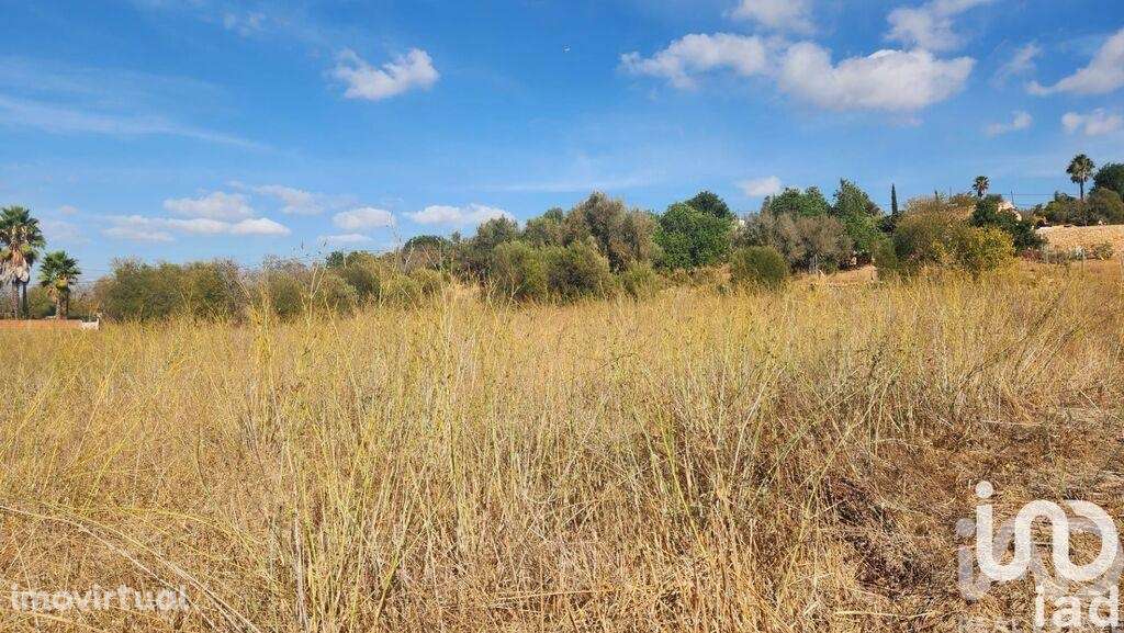 Terreno Agrícola em Algoz e Tunes - Grande imagem: 5/17