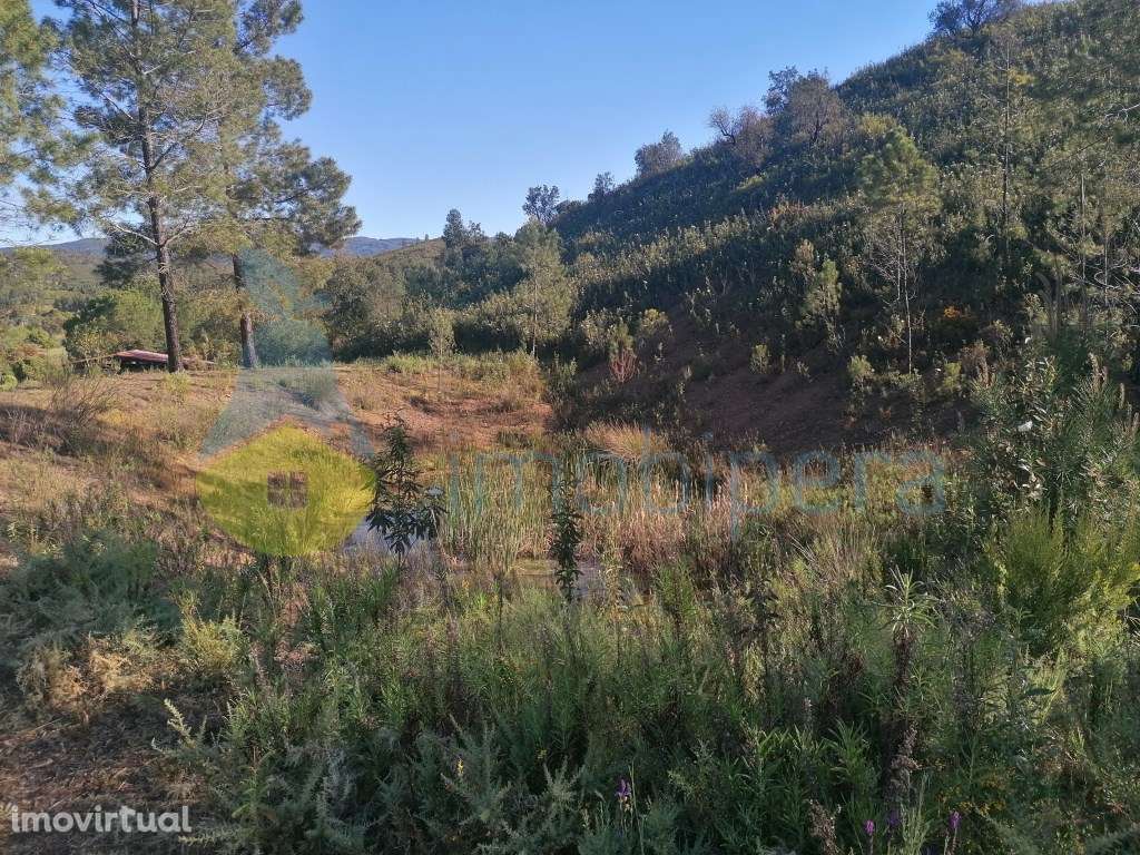 TERRENO RÚSTICO DE 23.970 m² EM MEXILHOEIRA GRANDE - Grande imagem: 4/4