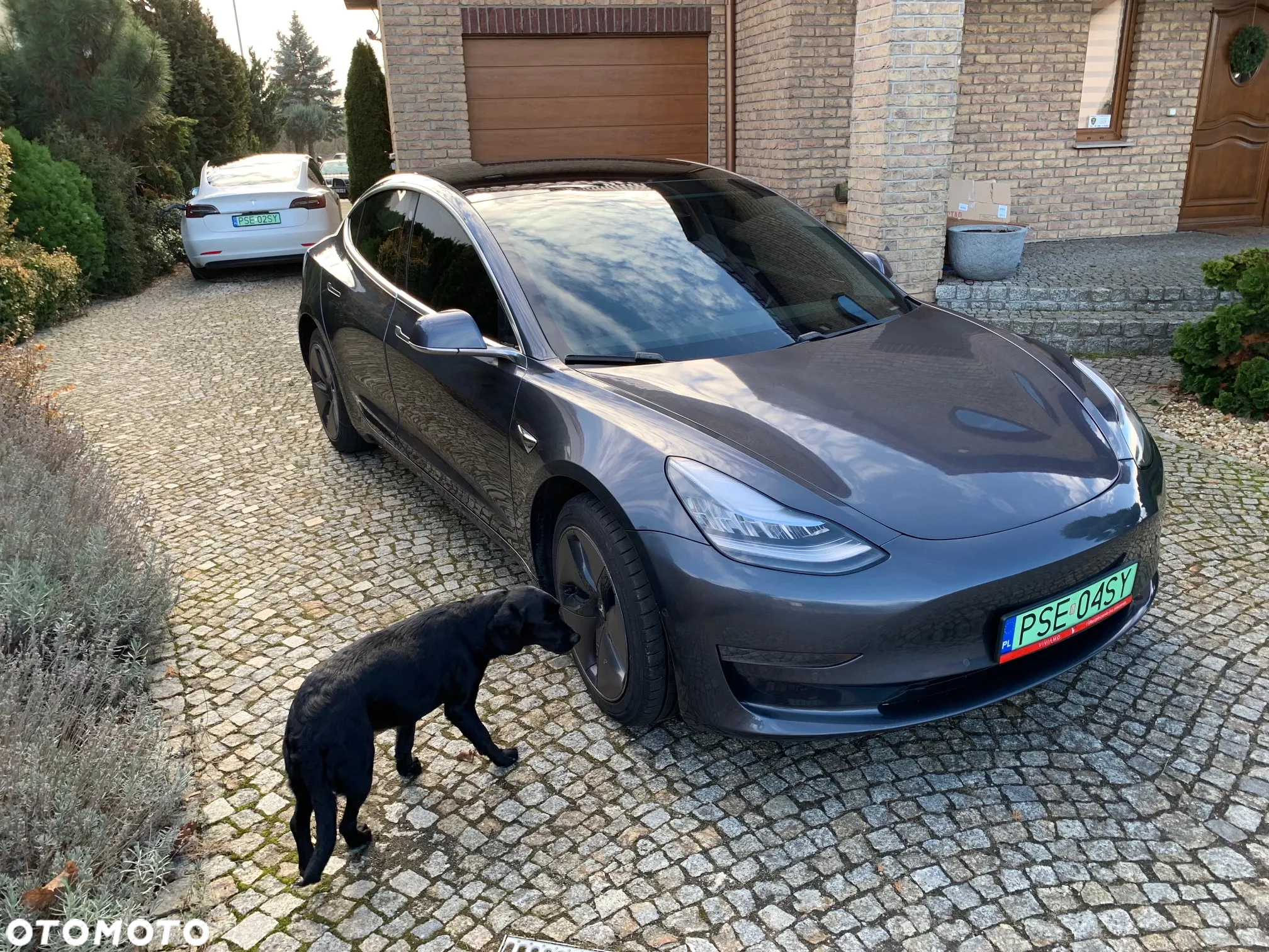 Tesla Model 3 - 15