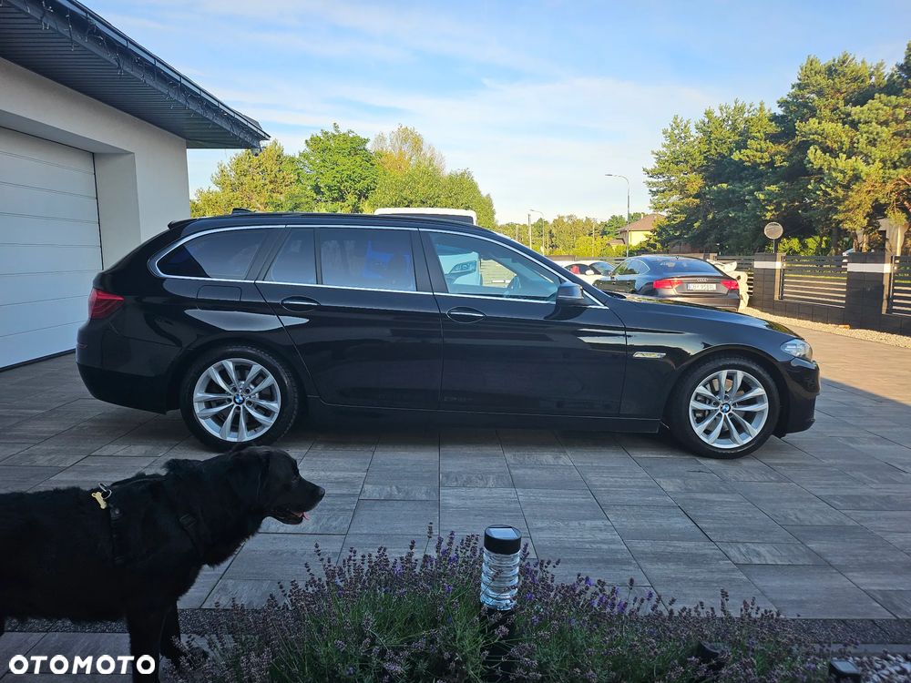 BMW Seria 5 - 30